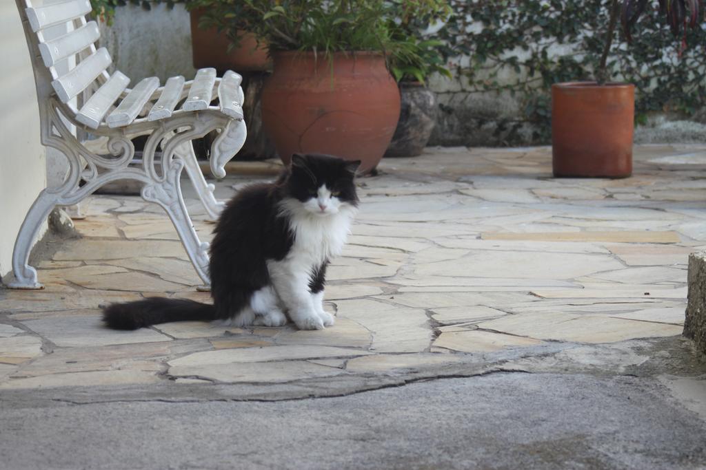 Salvador